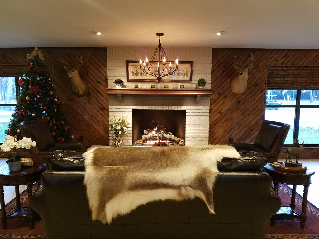 January 2017 Newsletter