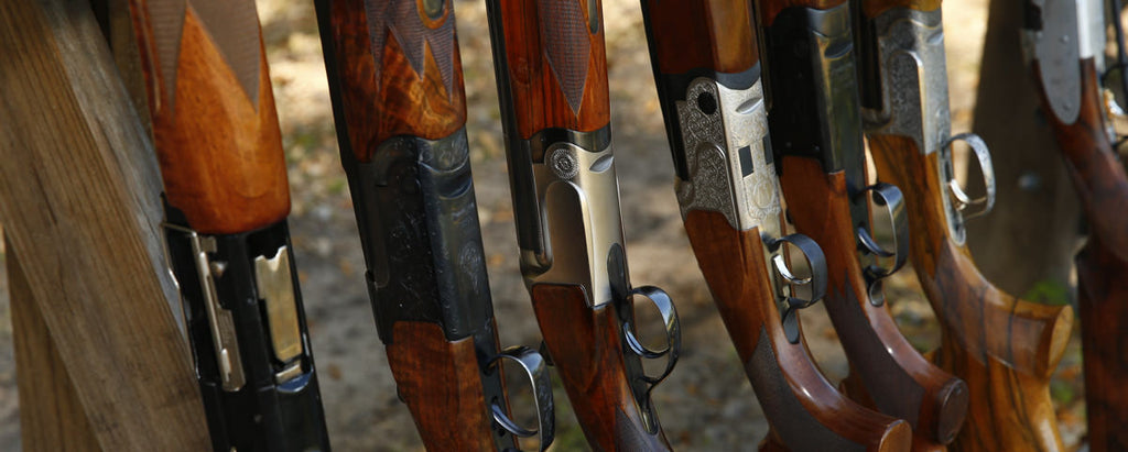 February 2017 Newletter